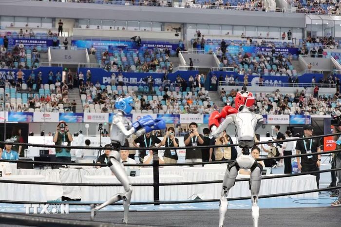 Các robot thi đấu ở nội dung đấm bốc. (Ảnh: Công Tuyên/TTXVN)