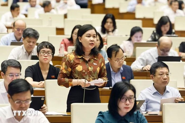 Đại biểu Quốc hội thành phố Hà Nội Nguyễn Phương Thủy phát biểu. (Ảnh: Doãn Tấn/TTXVN)