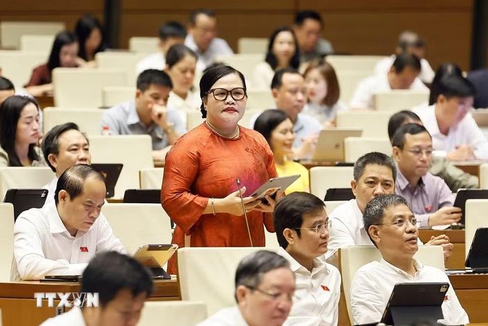 Đại biểu Quốc hội thành phố Huế Nguyễn Thị Sửu phát biểu. (Ảnh: Doãn Tấn/TTXVN)