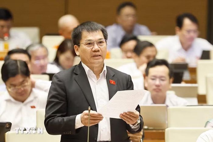 Đại biểu Quốc hội tỉnh Lâm Đồng Dương Khắc Mai phát biểu. (Ảnh: Doãn Tấn/TTXVN)