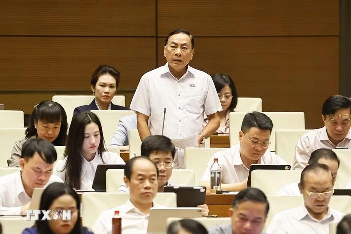 Đại biểu Quốc hội tỉnh Đồng Tháp Phạm Văn Hòa phát biểu. (Ảnh: Doãn Tấn/TTXVN)