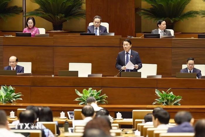 Bộ trưởng Bộ Công an Lương Tam Quang phát biểu giải trình, làm rõ một số vấn đề đại biểu Quốc hội nêu. (Ảnh: Doãn Tấn/TTXVN)