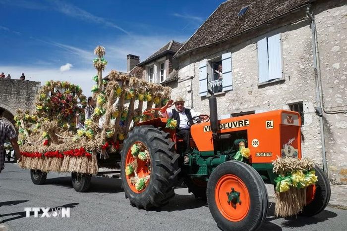 Diễu hành xe hoa tại Lễ hội Thu hoạch ở Provins, Pháp ngày 23/8/2026. (Ảnh: THX/TTXVN phát)