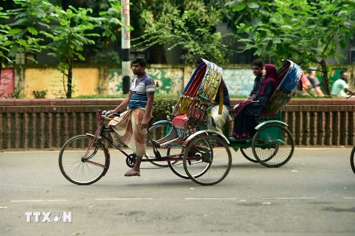 Những chiếc xích lô ba bánh được chế tác thủ công và trang trí bằng các họa tiết nhiều màu sắc như hoa, cây cối, chim muông, động vật, ngôi sao điện ảnh hay các nhân vật lịch sử. (Ảnh: THX/TTXVN phát)