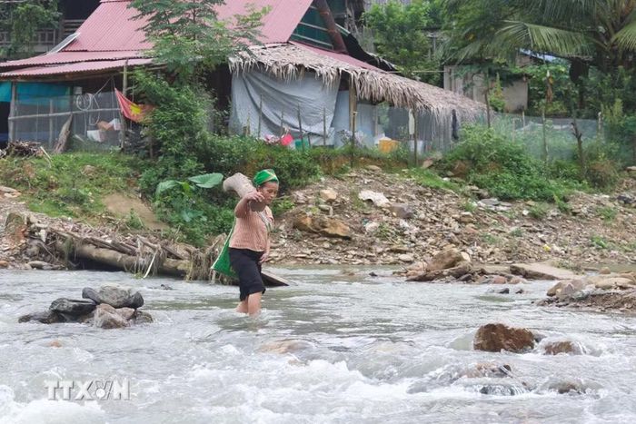 Người dân mang thân gỗ về làm củi đun phảu vất vả lội suối khi cầu tạm đấu nối 2 cụm dân cư của bản bị dòng chảy mạnh của suối Nậm Ngân cuốn trôi. (Ảnh: Xuân Tiến/TTXVN)