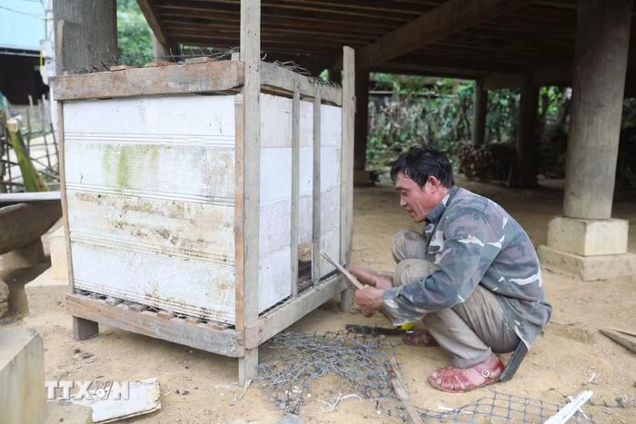 Đường bị chia cắt không thể đi nương rẫy nên đàn ông trong bản Na Ngân (xã Nga My, Nghệ An) tranh thủ làm những công việc nhà, sửa chữa chuồng trại chăn nuôi cho gia đình. (Ảnh: Xuân Tiến/TTXVN)