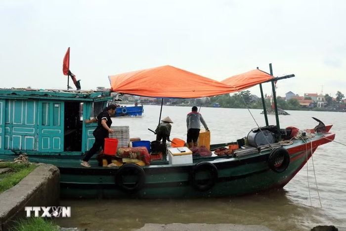 Người dân khu vực bến Chanh, phường Quảng Yên khẩn trương vận chuyển hải sản lên bờ tránh trú bão số 4. (Ảnh: Đức Hiếu/TTXVN)