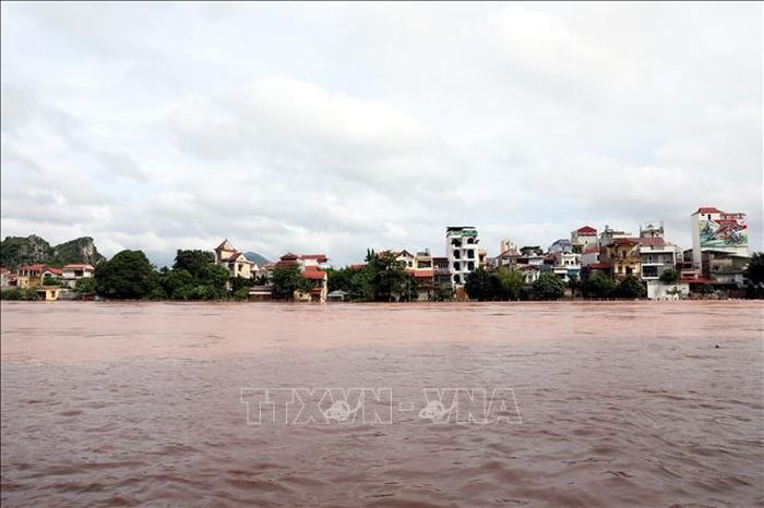Nước lũ đục ngầu trên sông Kỳ Cùng, Lạng Sơn ngày 24/8/2026. Ảnh: Văn Đạt - TTXVN