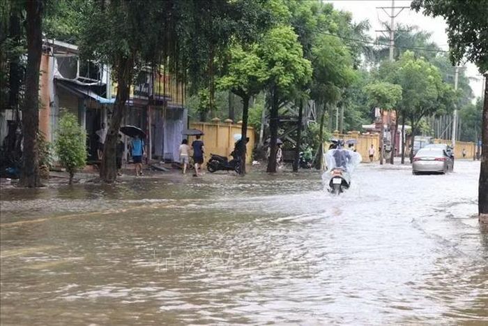 Phố Vũ Hựu, phường Lê Thanh Nghị, thành phố Hải Phòng ngập trong sáng 24/8. Ảnh: Mạnh Minh/TTXVN