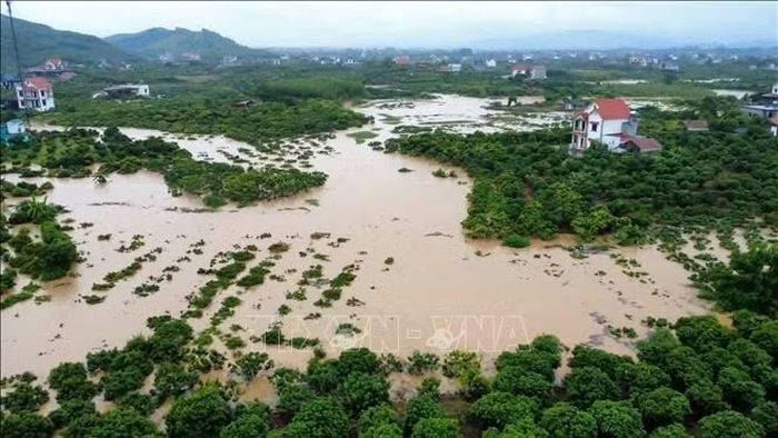 Mưa lớn kéo dài từ đêm 22 đến ngày 23/8/2026 khiến nước lũ dâng cao, nhiều diện tích cây trồng bị ngập trắng. Ảnh: TTXVN phát