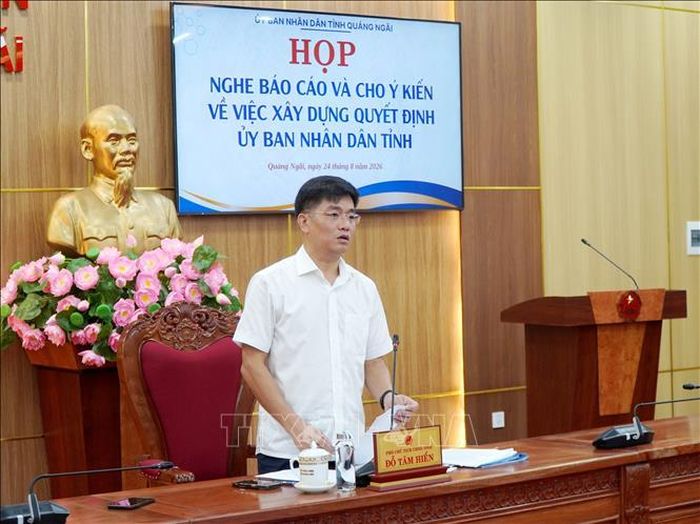 Phó Chủ tịch UBND tỉnh Quảng Ngãi Đỗ Tâm Hiển phát biểu chỉ đạo tại cuộc họp.