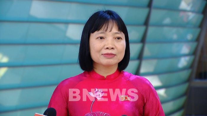 Đại biểu Nguyễn Thị Việt Nga - Đoàn Hải Phòng. Ảnh: Bích Hồng/Bnews/vnanet.vn