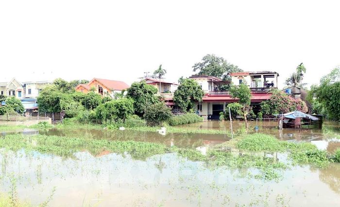 Nhiều hộ dân khu vực ven sông Cầu, đoạn chảy qua địa phận phường Phan Đình Phùng bị ngập. Ảnh: Trần Trang - TTXVN