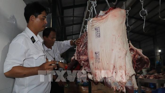 Kiểm tra việc đóng dấu kiểm soát giết mổ. Ảnh minh họa: Nguyễn Hằng - TTXVN