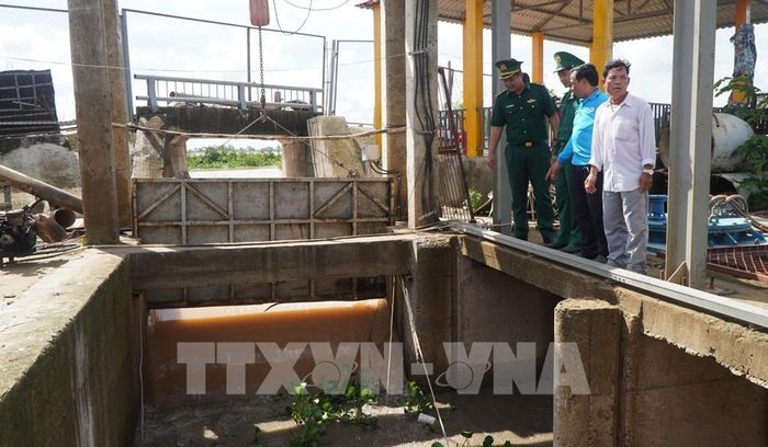 Cống Bảy Ngõi được mở nắp cho dòng nước mang phù sa và thủy sản vào đồng ruộng. Ảnh: Nhựt An - TTXVN
