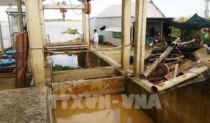 Cống Bảy Ngõi (xã Thường Phước, tỉnh Đồng Tháp) được mở nắp cho dòng nước mang phù sa và thủy sản vào đồng ruộng. Ảnh: Nhựt An - TTXVN