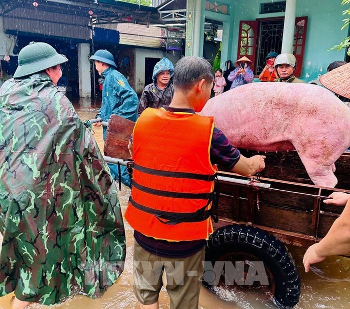 Cán bộ, chiến sĩ Bộ Chỉ huy quân sự tỉnh Bắc Ninh hỗ trợ người dân di dời tài sản tại xã Ngọc Thiện. Ảnh: Danh Lam - TTXVN 