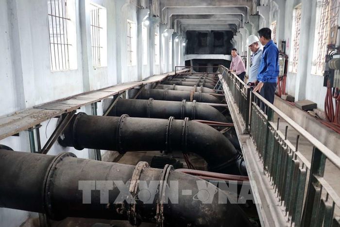 Hải Phòng vận hành tối đa các trạm bơm chống ngập úng, giảm thiểu rủi ro cho ngành nông nghiệp. Ảnh: Hoàng Ngọc – TTXVN