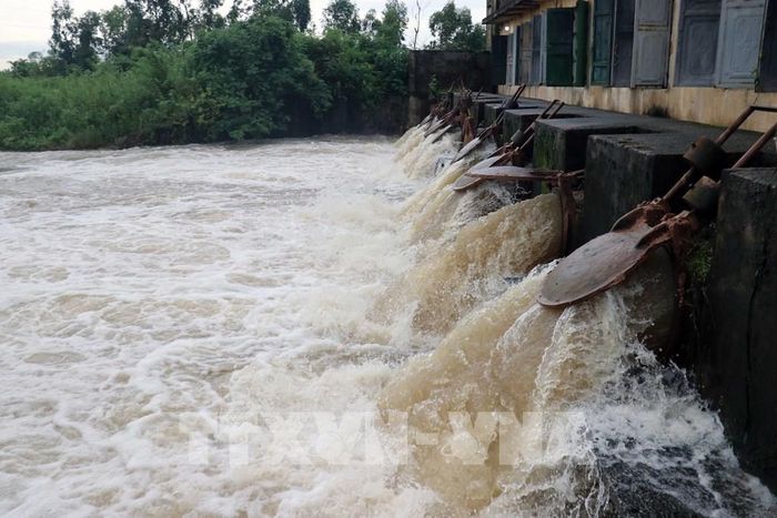 Hải Phòng vận hành tối đa các trạm bơm chống ngập úng, giảm thiểu rủi ro cho ngành nông nghiệp. Ảnh: Hoàng Ngọc – TTXVN