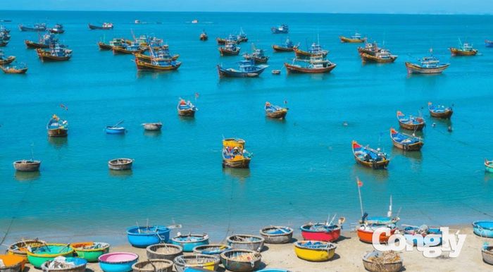 Nhiều giải pháp phát triển du lịch tỉnh Lâm Đồng sẽ được chia sẻ tại diễn đàn.