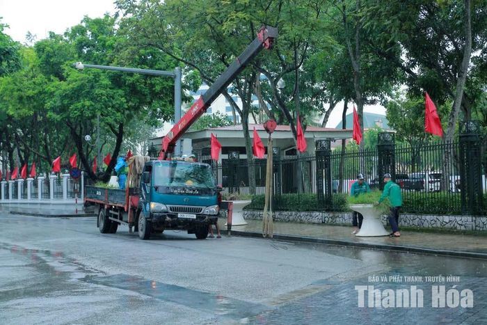 Những chậu hoa, cây cảnh ở khu vực tượng đài Lê Lợi được thu gom, chỉnh trang.
