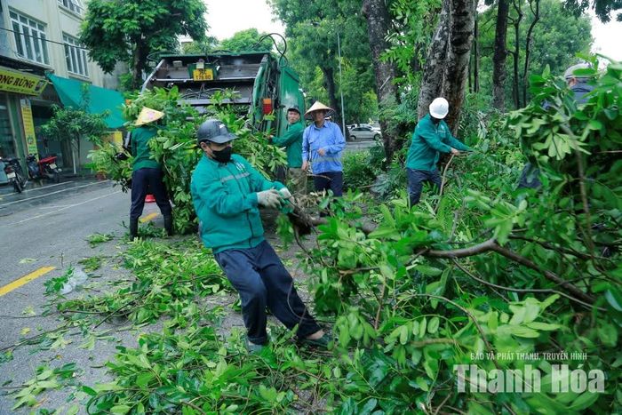 Trên tuyến phố Lê Hồng Phong, cành cây cắt tỉa đến đâu được công nhân thu dọn đến đó.