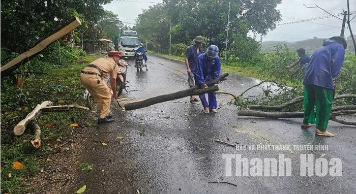 CSGT Thanh Hóa phối hợp chặt cây đổ tại phường Nghi Sơn, bảo đảm giao thông được thông suốt.