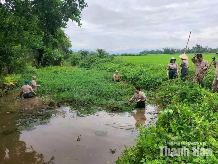 Công nhân khẩn trương san gạt và trục vớt bèo, cỏ dại trên các tuyến kênh mương. Đây là giải pháp cấp bách giúp loại bỏ vật cản, khơi thông dòng chảy, chống ngập úng.