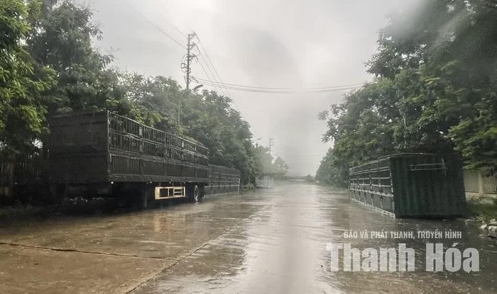 Những chiếc thùng xe không sử dụng bị bỏ trên lòng đường, gây cản trở và tiềm ẩn tai nạn giao thông.