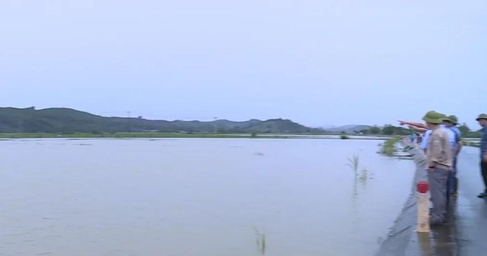 Hàng chục ha cây trồng ở xã Vân Du bị ngập trắng. Ảnh: Thanh Tâm