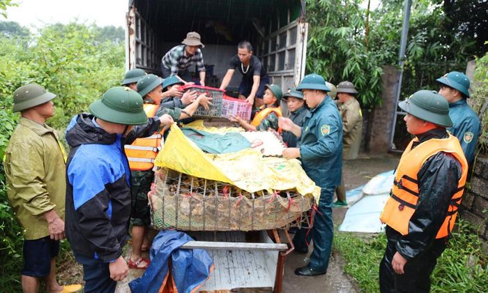 Lực lượng quân đội, công an xã, an ninh cơ sở, dân quân, đoàn viên thanh niên hỗ trợ người dân xã Kép di dời đàn gia cầm đến vị trí an toàn. 