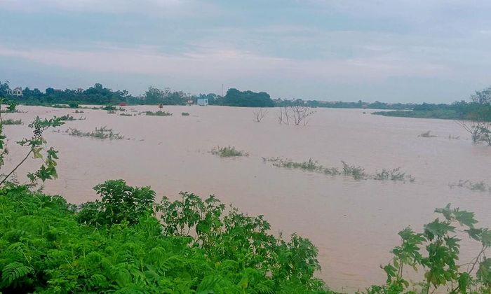  Mực nước trên sông Cầu đoạn quan xã Tam Giang đang dâng cao, đạt mức báo động II hồi 05h30, ngày 24/8/2026. 