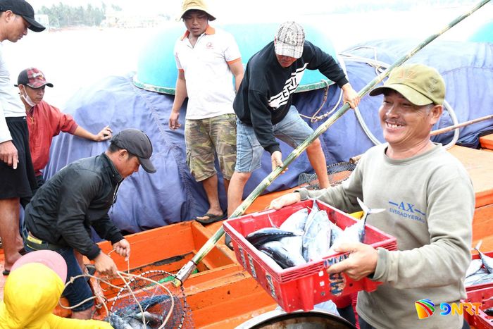 Ngư dân chuyển hải sản từ tàu lên cảng cá Tam Quang. Ảnh: QUANG VIỆT