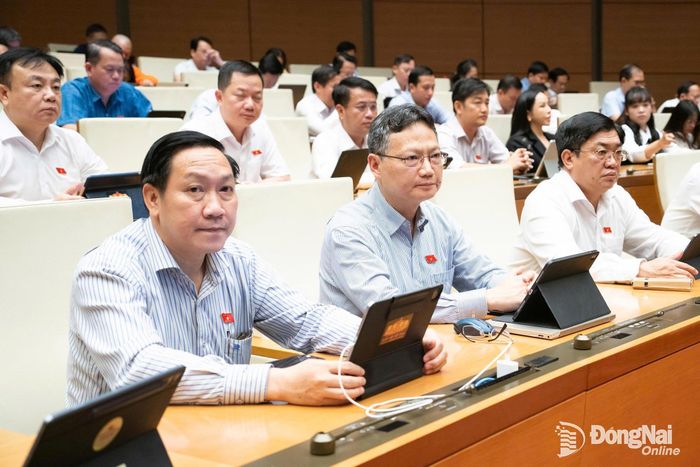Các đại biểu Đoàn Đại biểu Quốc hội thành phố Đồng Nai tham dự phiên họp. Ảnh: CTV
