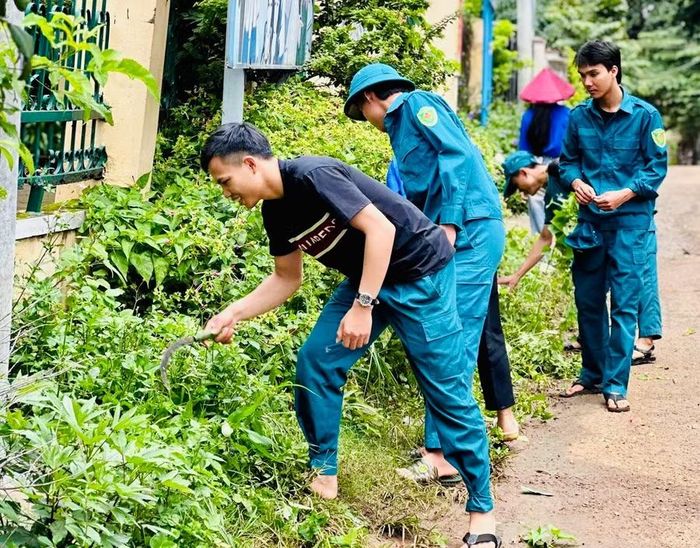 Phường An Phú huy động các lực lượng triển khai cao điểm phòng, chống dịch bệnh sốt xuất huyết. Ảnh: N.N