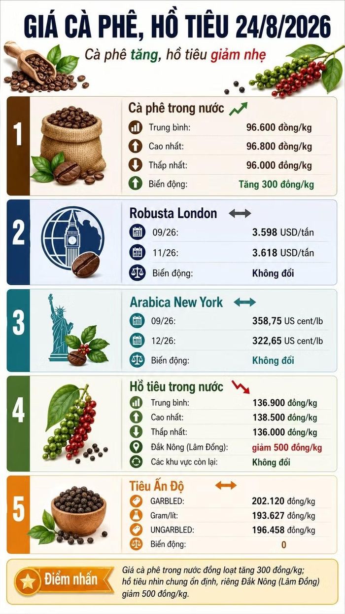 Infographic (AI)
