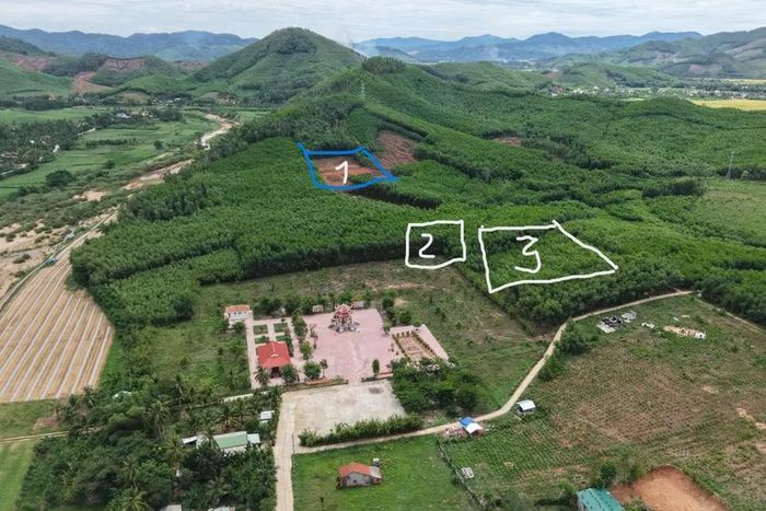  Bộ Chỉ huy Quân sự tỉnh Gia Lai xác định các vị trí nghi còn hố chôn tập thể bộ đội ta hy sinh trong trận tập kích cứ điểm Đồi Xuân Sơn. Ảnh: Đức Dũng 