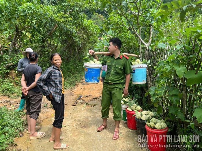 Công an xã Vạn Linh hỗ trợ người dân vận chuyển na đến nơi tiêu thụ