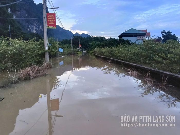 Mưa lũ gây ngập úng một số tuyến đường và cây trồng nông nghiệp trên địa bàn xã Vân Nham