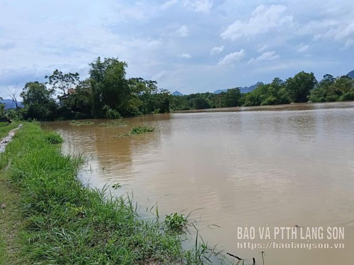 Nước dâng gây ngập úng tại xã Yên Bình