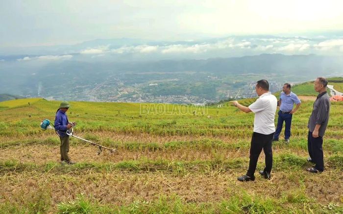 Người dân thôn Trát đã áp dụng tiến bộ khoa học, kỹ thuật vào sản xuất để nâng cao năng suất lao động.