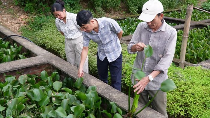 Anh Nghị trao đổi với khách tham quan về việc giám sát nguồn nước nuôi ba ba cho hiệu quả cao.