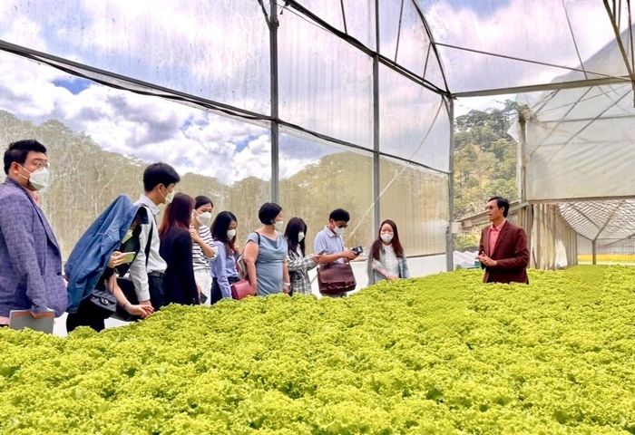 Nhiều mô hình KTTN góp phần đa dạng hóa dịch vụ du lịch và nâng cao giá trị trải nghiệm của du khách
