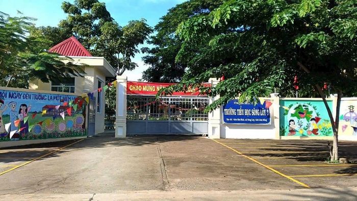 Trường TH Sông Lũy 3 được phủ xanh