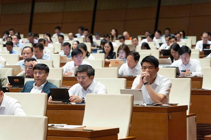 Các đại biểu tham dự