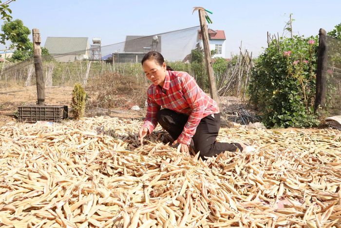 Cuối năm 2025, chị Ma Hên được vay vốn qua Ngân hàng chính sách xã hội để phát triển kinh tế