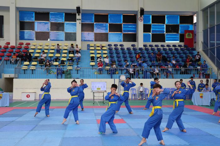 Màn biểu diễn quyền của các vận động viên Vovinam Cụm I