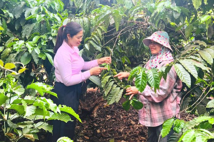 Chị H'Loan thường xuyên xuống trực tiếp các hộ vay vốn để hướng dẫn bà con sử dụng vốn vay đúng mục đích