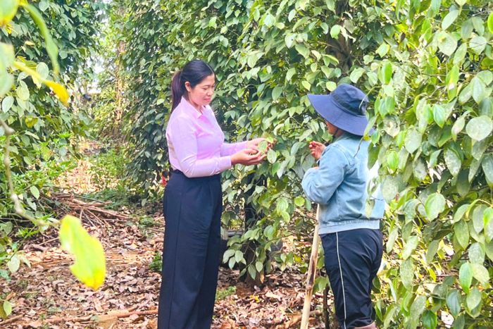 Nhiều bà con đồng bào DTTS được chị H'Loan đồng hành từ khi làm hồ sơ, thủ tục, giải ngân đến quá trình sử dụng nguồn vốn vay