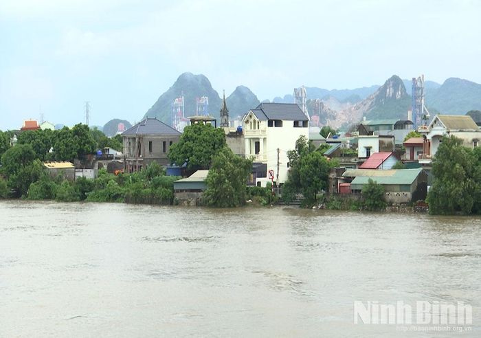 Nước sông Đáy đoạn qua địa bàn xã Thanh Lâm dâng cao, gây ngập lụt cục bộ một số khu dân cư và diện tích đất nông nghiệp trên địa bàn.